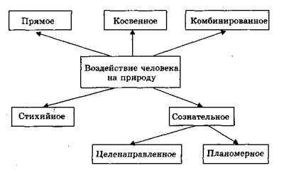 Реферат: Влияние человека на экосистему